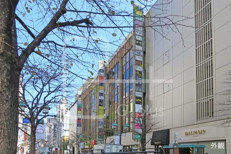 ソワレド銀座弥生ビル 6階のイメージ