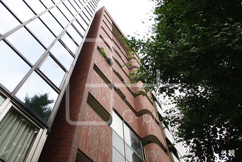 昭和通り沿いのマンションタイプ　801号室のイメージ